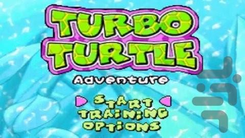 Turbo Turtle Adventure - Gameplay image of android game
