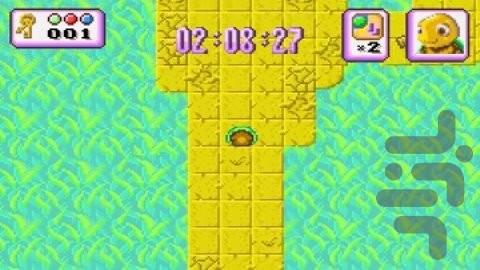 Turbo Turtle Adventure - Gameplay image of android game