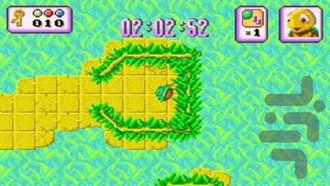 Turbo Turtle Adventure - Gameplay image of android game