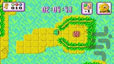 Turbo Turtle Adventure - Gameplay image of android game