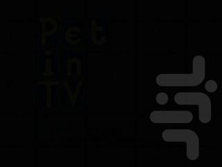 پت این تیوی - Gameplay image of android game