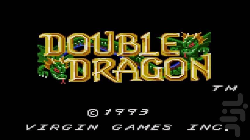 Double Dragon - Gameplay image of android game