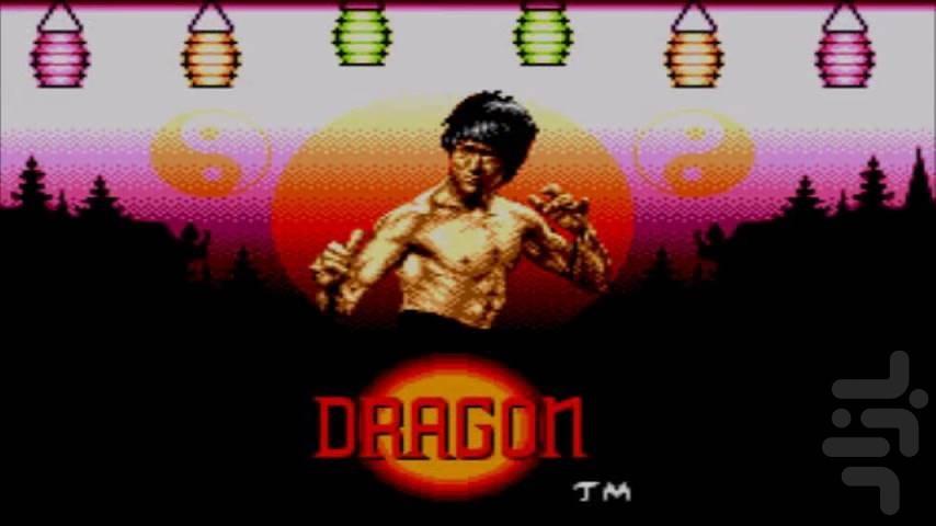 Dragon: The Bruce Lee Story - Gameplay image of android game