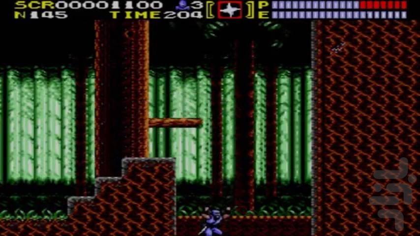 Ninja Gaiden - Gameplay image of android game