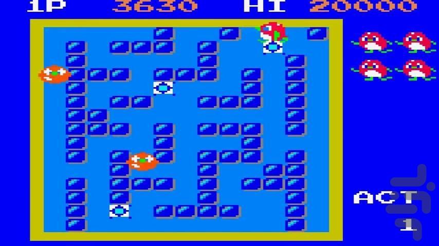 Pengo - Gameplay image of android game