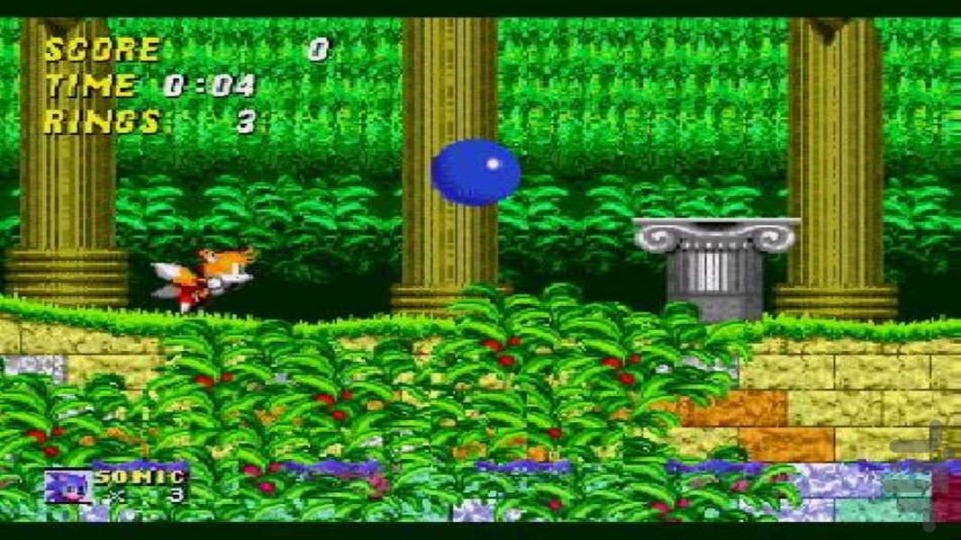 Sonic Collection - Gameplay image of android game