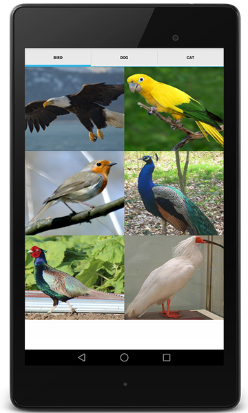 Animal Sounds (Bird,Dog,Cat) - عکس برنامه موبایلی اندروید