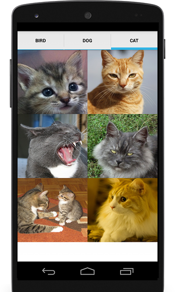 Animal Sounds (Bird,Dog,Cat) - عکس برنامه موبایلی اندروید