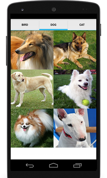 Animal Sounds (Bird,Dog,Cat) - Image screenshot of android app