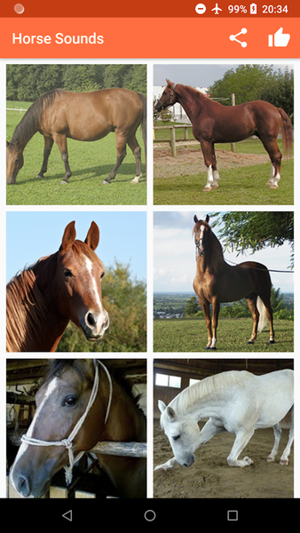 Horse Sounds - عکس برنامه موبایلی اندروید