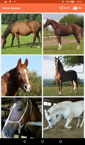 Horse Sounds - عکس برنامه موبایلی اندروید