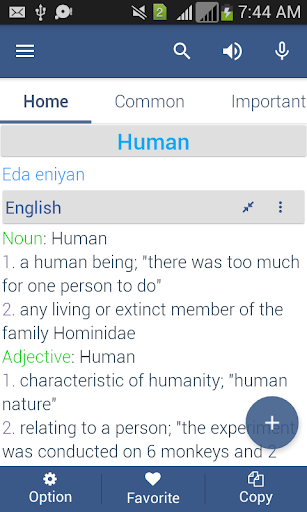 Yoruba Dictionary Offline - Image screenshot of android app