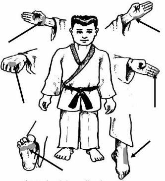 Learn Karate - Image screenshot of android app