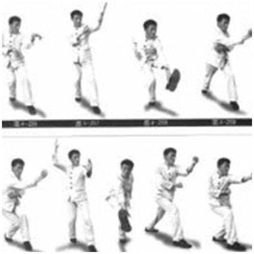 learn kungfu - عکس برنامه موبایلی اندروید