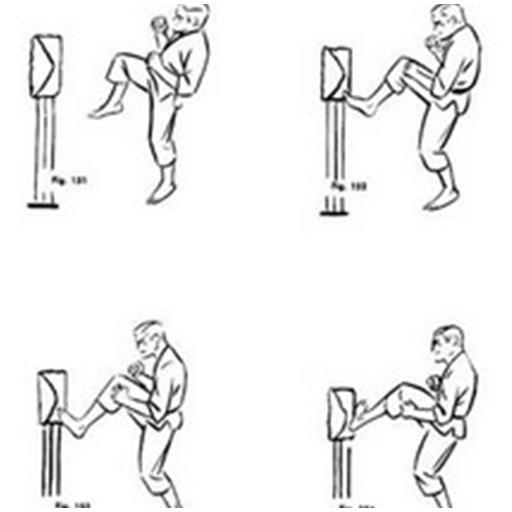 learn kungfu - Image screenshot of android app