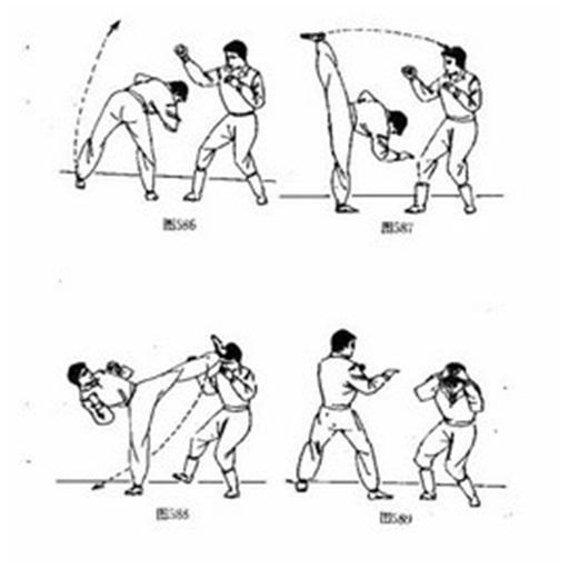 learn kungfu - Image screenshot of android app