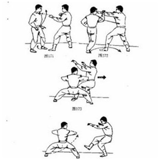 learn kungfu - عکس برنامه موبایلی اندروید