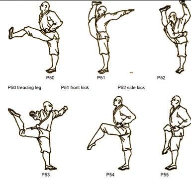 Learning Kung Fu - عکس برنامه موبایلی اندروید