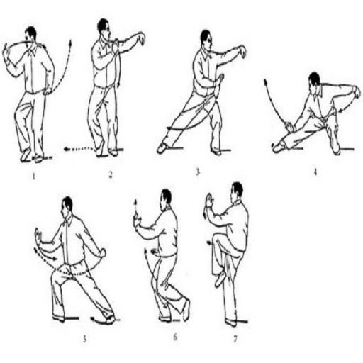Learning Kung Fu - عکس برنامه موبایلی اندروید
