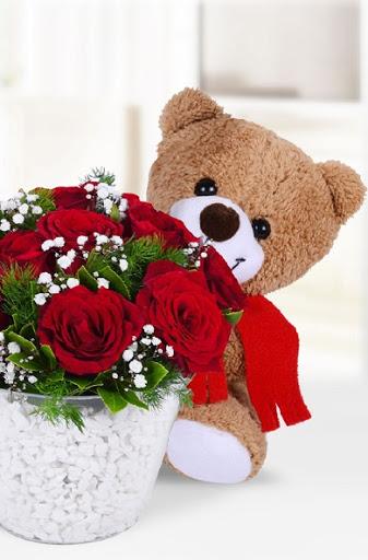 Teddy Bear Wallpapers - Image screenshot of android app