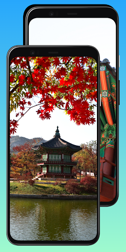 South Korea Wallpaper - Image screenshot of android app