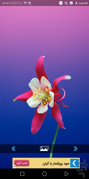 پس زمینه گل(1) - Image screenshot of android app