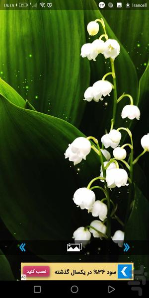 پس زمینه گل(1) - Image screenshot of android app