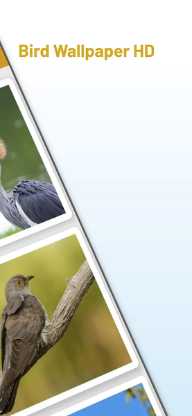 Bird Wallpaper HD - عکس برنامه موبایلی اندروید