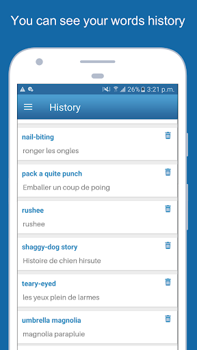 English To French Dictionary - Image screenshot of android app