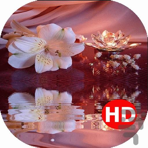 پس زمینه زنده گلهای بسیار زیبا۲ - عکس برنامه موبایلی اندروید