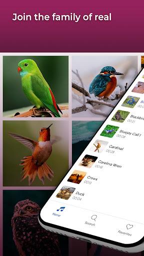 Bird Calls, Sounds & Ringtones - عکس برنامه موبایلی اندروید