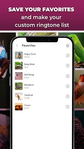 Bird Calls, Sounds & Ringtones - Image screenshot of android app