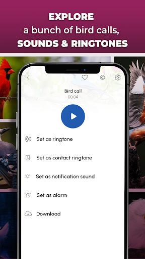 Bird Calls, Sounds & Ringtones - Image screenshot of android app