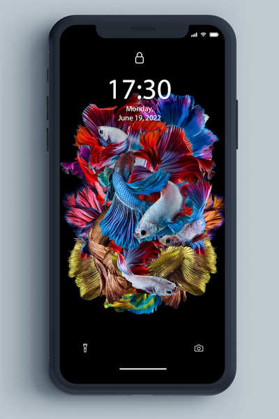 Betta Fish Wallpaper - Image screenshot of android app