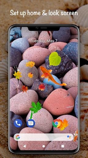 Fish On Screen 3D Wallpaper - Image screenshot of android app