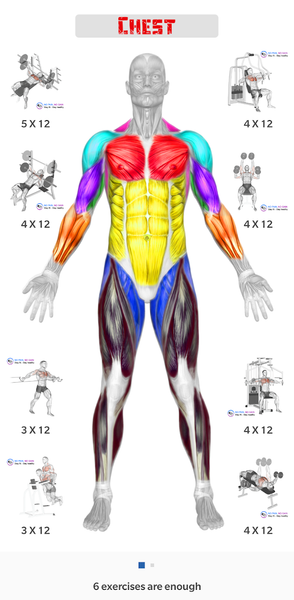 Gym Workout Training Diet Plan - عکس برنامه موبایلی اندروید