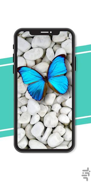 Butterfly Wallpaper - Image screenshot of android app