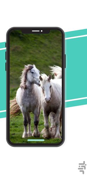 Horse Wallpaper HD - Image screenshot of android app