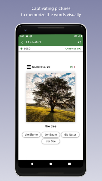 Learn German Vocabulary - عکس برنامه موبایلی اندروید