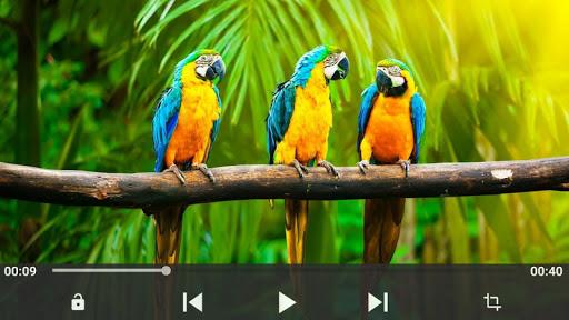 Tube Video Downloader & Player - عکس برنامه موبایلی اندروید
