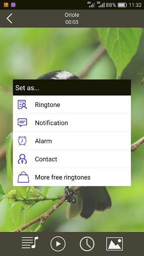 Birds Sounds Ringtones - عکس برنامه موبایلی اندروید