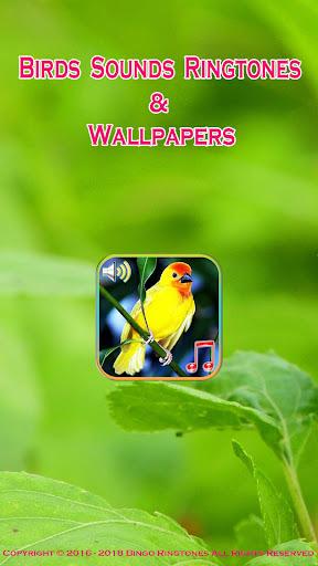 Birds Sounds Ringtones - Image screenshot of android app