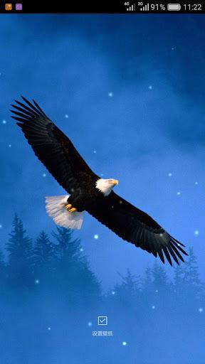 Birds Sounds Ringtones - عکس برنامه موبایلی اندروید