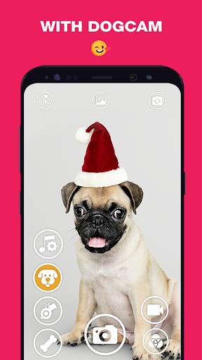 DogCam - Dog Selfie Filters an - عکس برنامه موبایلی اندروید