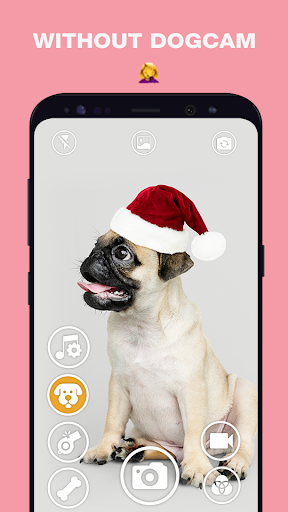 DogCam - Dog Selfie Filters an - عکس برنامه موبایلی اندروید