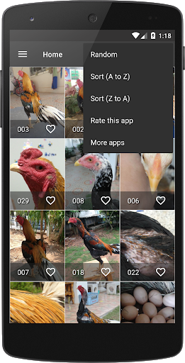 Gamecock Wallpapers HD - Image screenshot of android app