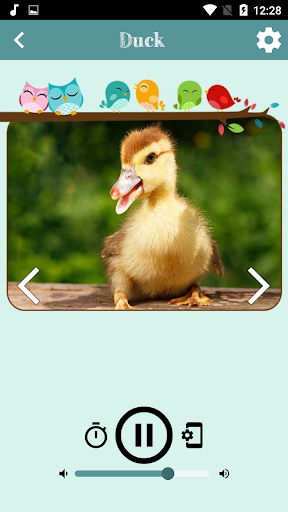 Bird Sounds - عکس برنامه موبایلی اندروید