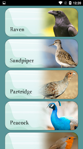 Bird Sounds - عکس برنامه موبایلی اندروید