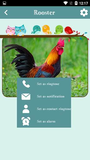 Bird Sounds - عکس برنامه موبایلی اندروید