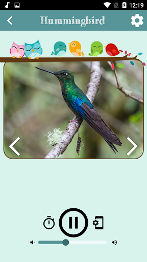 Bird Sounds - عکس برنامه موبایلی اندروید